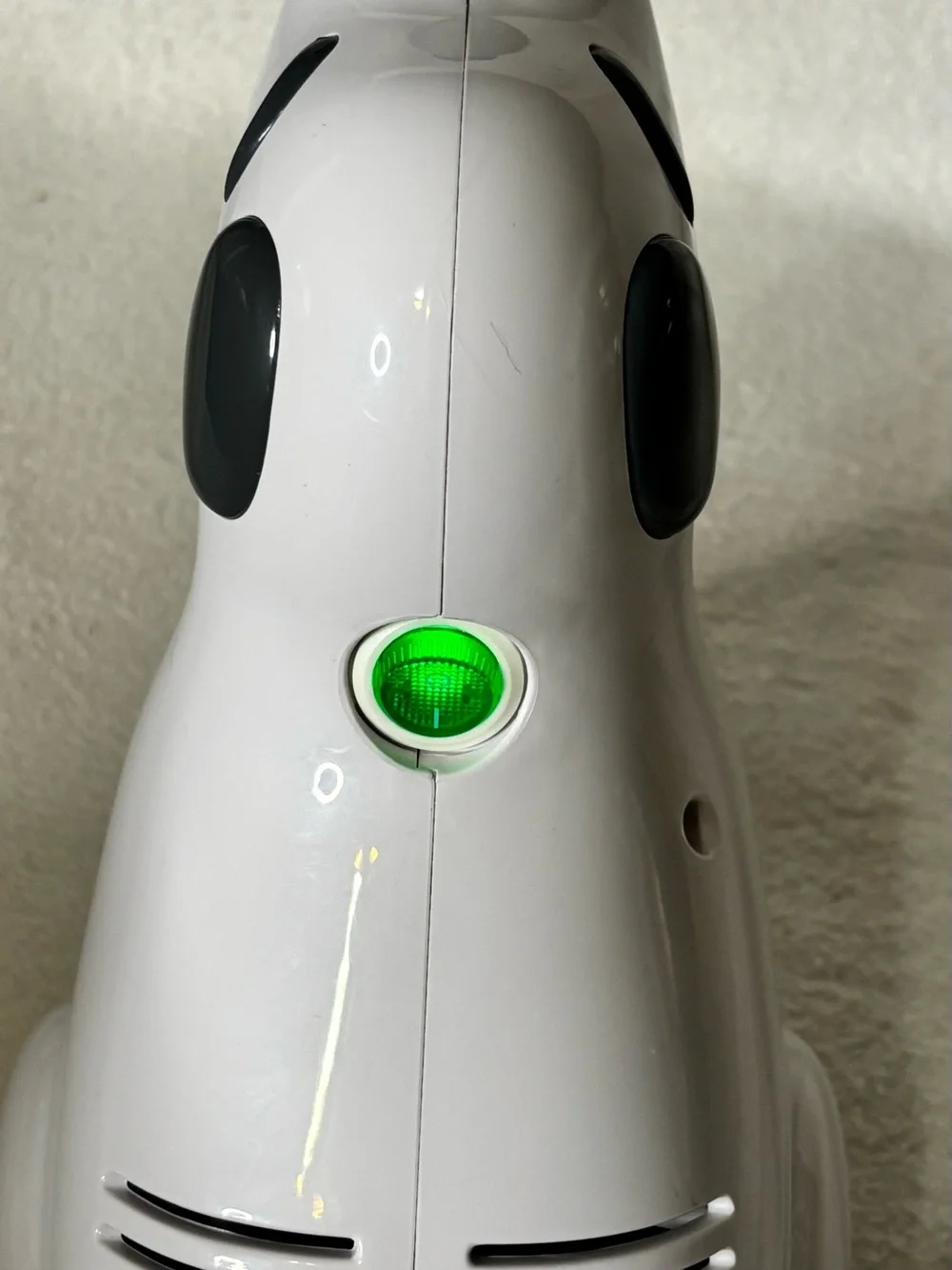 Riscoe Dog cute white